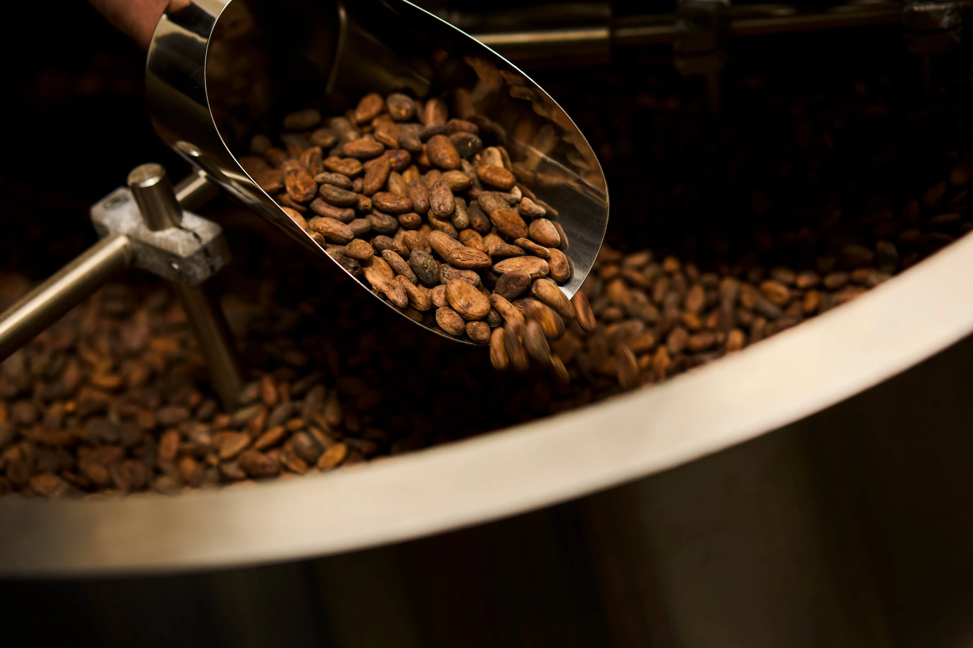 厳選済みの素材